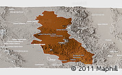 Physical Panoramic Map of Riva Palacio, lighten, semi-desaturated