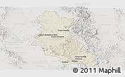 Shaded Relief Panoramic Map of Riva Palacio, lighten, semi-desaturated