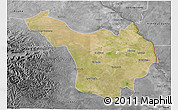 Satellite 3D Map of Jimenez, desaturated