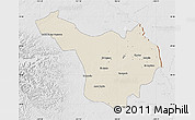 Shaded Relief Map of Jimenez, lighten, desaturated
