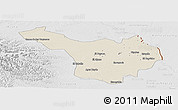 Shaded Relief Panoramic Map of Jimenez, lighten, desaturated