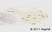 Shaded Relief Panoramic Map of Jimenez, lighten
