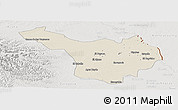Shaded Relief Panoramic Map of Jimenez, lighten, semi-desaturated