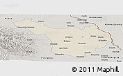 Shaded Relief Panoramic Map of Jimenez, semi-desaturated