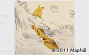 Physical 3D Map of Torreon, lighten