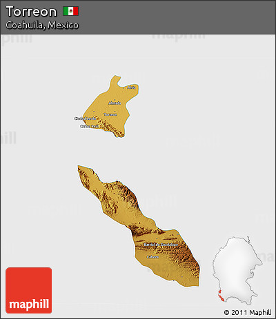 Physical 3D Map of Torreon, single color outside