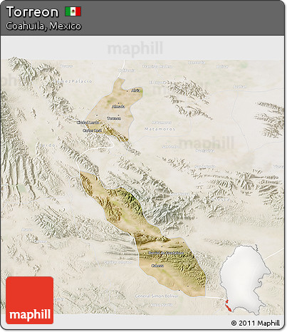 Satellite 3D Map of Torreon, lighten