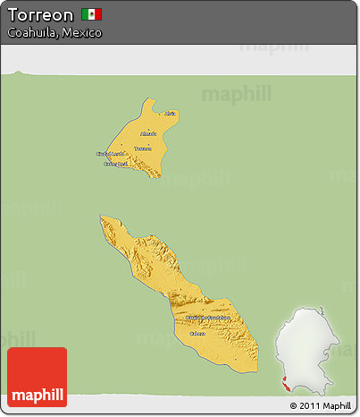 Savanna Style 3D Map of Torreon, single color outside