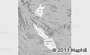 Gray Map of Torreon