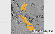 Political Map of Torreon, desaturated