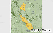 Savanna Style Map of Torreon