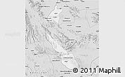 Silver Style Map of Torreon