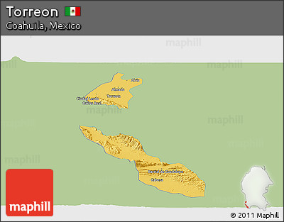 Savanna Style Panoramic Map of Torreon, single color outside