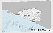 Gray 3D Map of Manzanillo, single color outside