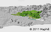 Satellite Panoramic Map of Manzanillo, lighten, desaturated