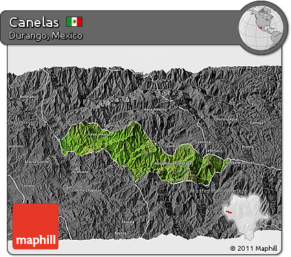 Satellite 3D Map of Canelas, desaturated