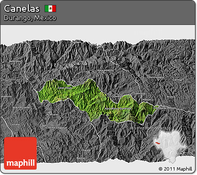 Satellite 3D Map of Canelas, desaturated