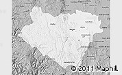 Gray Map of Durango