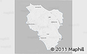 Gray 3D Map of Hidalgo, single color outside