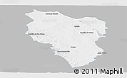 Gray Panoramic Map of Hidalgo, single color outside