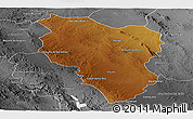 Physical Panoramic Map of Hidalgo, desaturated