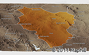 Physical Panoramic Map of Hidalgo, semi-desaturated