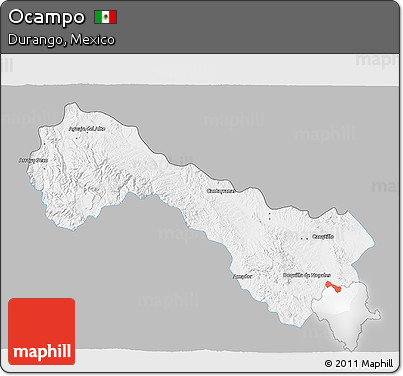 Gray 3D Map of Ocampo, single color outside