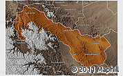 Physical 3D Map of Ocampo, semi-desaturated