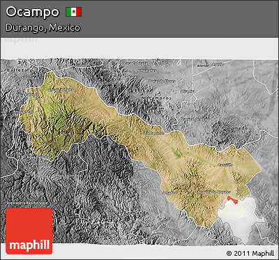 Satellite 3D Map of Ocampo, desaturated