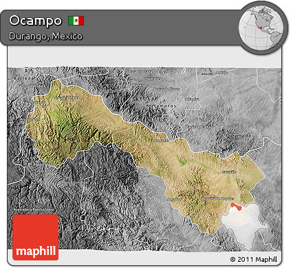 Satellite 3D Map of Ocampo, desaturated