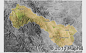 Satellite 3D Map of Ocampo, desaturated