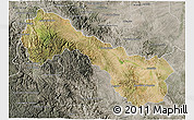 Satellite 3D Map of Ocampo, semi-desaturated