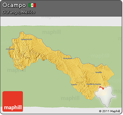 Savanna Style 3D Map of Ocampo, single color outside