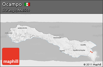 Gray Panoramic Map of Ocampo, single color outside