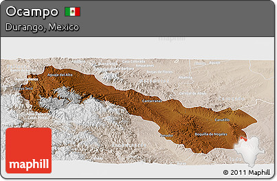 Physical Panoramic Map of Ocampo, lighten