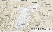Classic Style 3D Map of Suchil