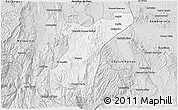 Silver Style 3D Map of Suchil