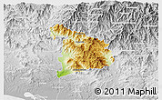 Physical 3D Map of Ayutla de los Libres, lighten, desaturated