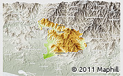 Physical 3D Map of Ayutla de los Libres, lighten, semi-desaturated