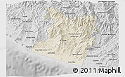 Shaded Relief 3D Map of Tecpan de Galeana, desaturated