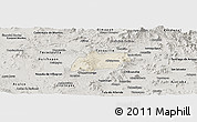 Shaded Relief Panoramic Map of Alfajayucan, semi-desaturated