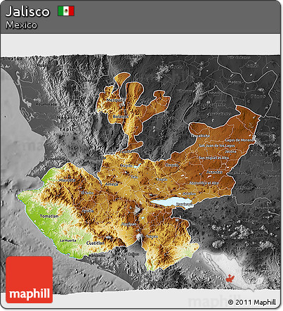 Physical 3D Map of Jalisco, darken, desaturated