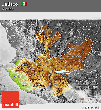 Physical 3D Map of Jalisco, desaturated