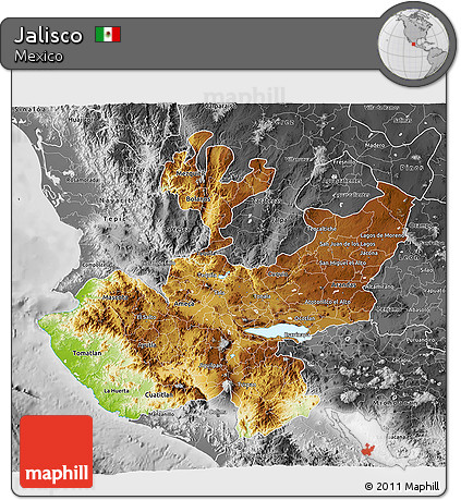 Physical 3D Map of Jalisco, desaturated