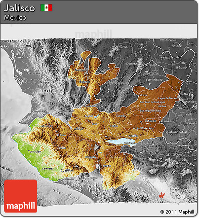Physical 3D Map of Jalisco, desaturated