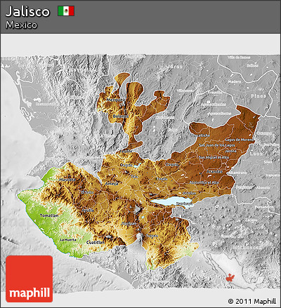 Physical 3D Map of Jalisco, lighten, desaturated