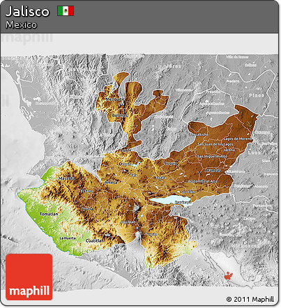 Physical 3D Map of Jalisco, lighten, desaturated