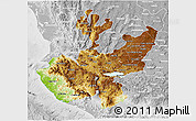 Physical 3D Map of Jalisco, lighten, desaturated