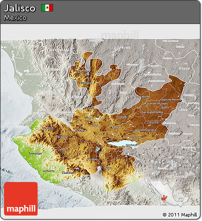 Physical 3D Map of Jalisco, lighten, semi-desaturated