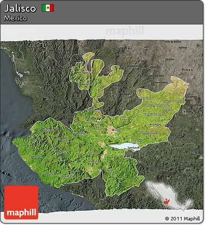 Satellite 3D Map of Jalisco, darken, semi-desaturated